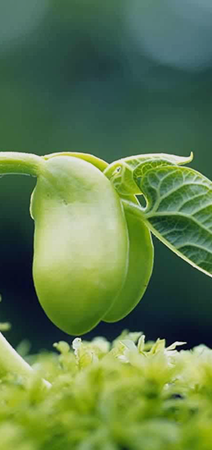 農(nóng)用類(lèi)